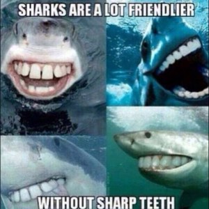 LOL Sharks